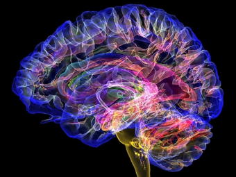 欧美大屌www大脑植入物有助于严重头部损伤恢复